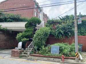 20240724 150206 평창.jpg