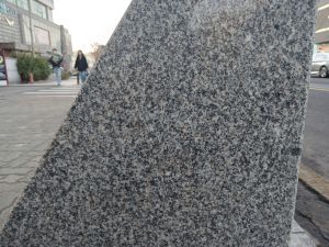 20260304 080949 동부관아.jpg