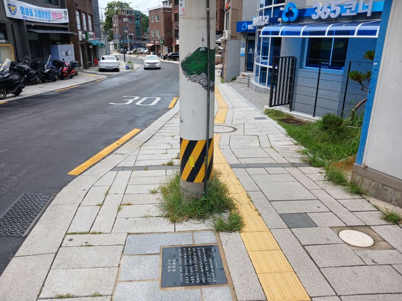 파일:20240806 094609 양현고 blur.jpg