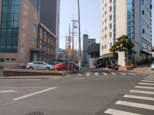 20260222 144011 방학호진 blur.jpg