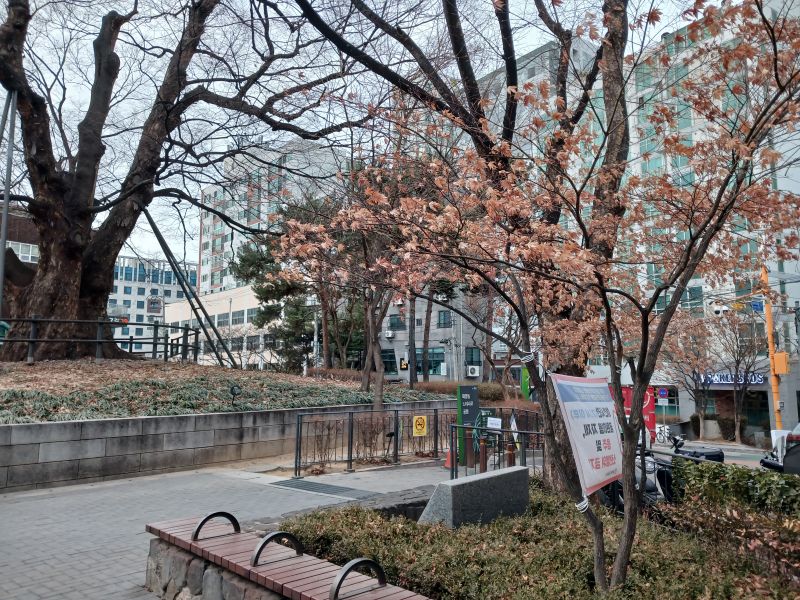 파일:20260223 172738 화양정.jpg