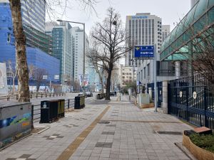 20260315 121017 초리우물.jpg