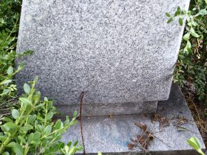 20180905 091246 우미관.jpg