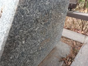 20260222 132737 이수정.jpg