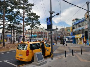 20260224 164322 보제원 blur.jpg