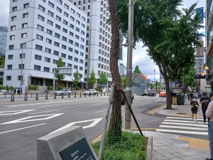 20240703 110249 동양극장 blur.jpg