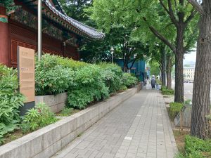 20240704 112102 우정총국,전의감.jpg