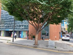 20240806 121627 천주교회 blur.jpg