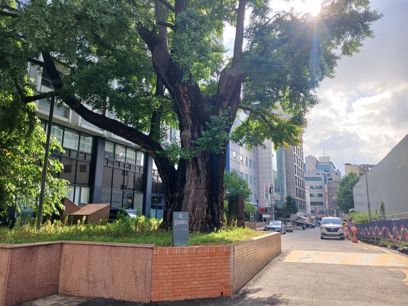 파일:20240703 081745 이현궁.jpg