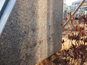 20260304 082915 금위영.jpg