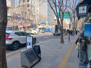 20260323 110350 양성지 blur.jpg