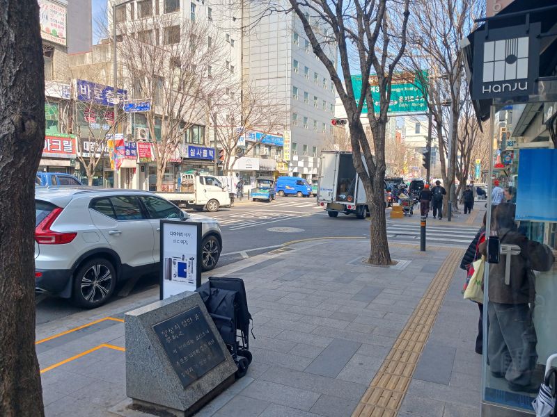 파일:20260323 110350 양성지 blur.jpg