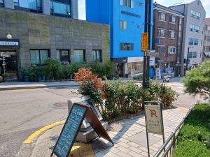 20240803 150657 여운형.jpg