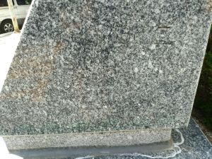 20180905 142602 관립교동.jpg