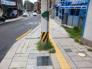 20240806 094609 양현고.jpg