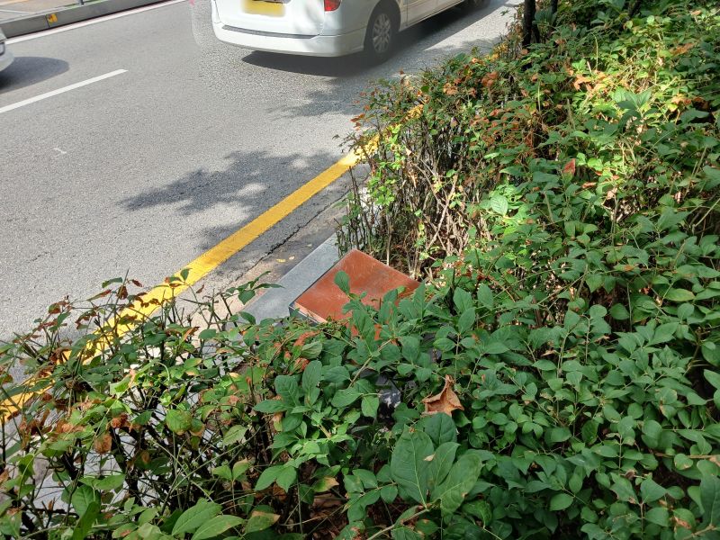 파일:20240703 093020 이문(종로) blur.jpg