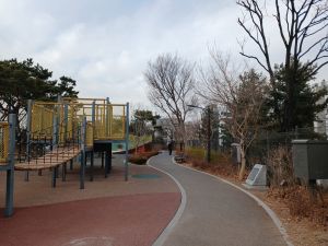 20260224 161727 동망봉.jpg