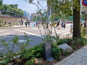 20240803 130251 김정희.jpg