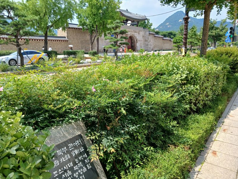 파일:20240803 135054 북부관아.jpg