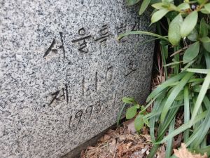 20240606 155626 제천정.jpg