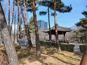 20260223 123203 송파나루.jpg