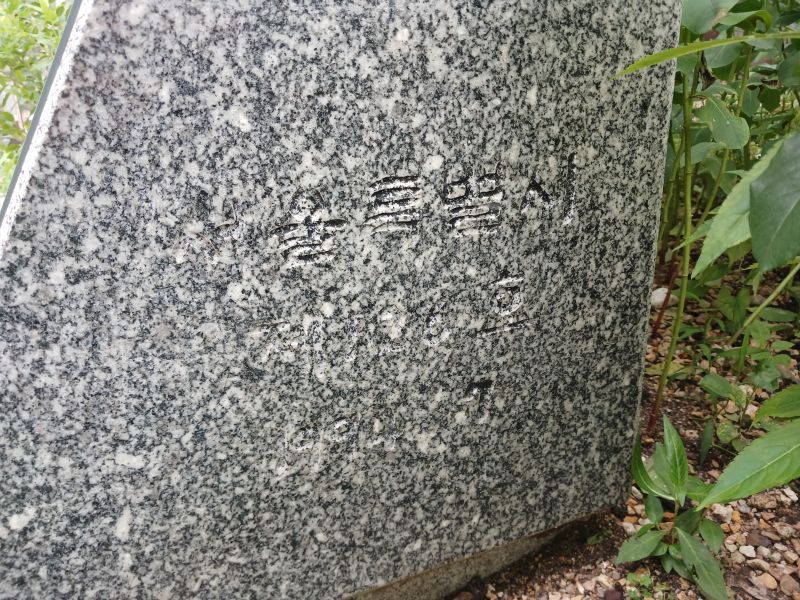 파일:20240724 150130 평창.jpg