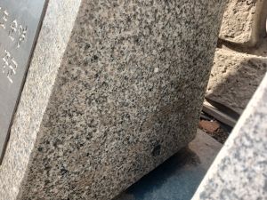 20260304 094104 경기중군.jpg