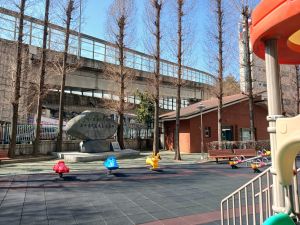 20260304 133252 토정.jpg