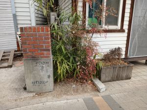 20260224 132250 노원역.jpg