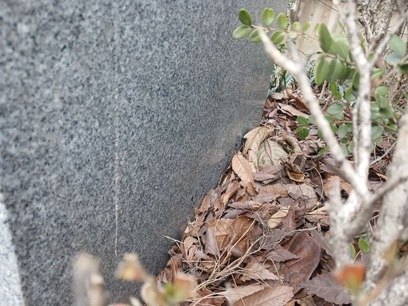 파일:20260313 123232 사한단.jpg