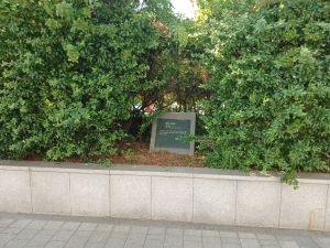 20240606 153912 한강나루.jpg