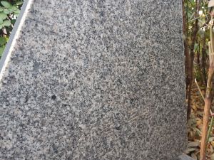 20260304 085039 북부관아.jpg