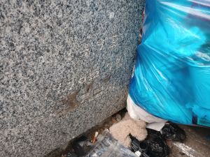 20260222 100008 강희맹(살던).jpg