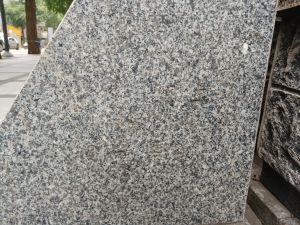 20240805 103230 서부관아.jpg