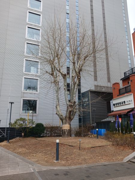 파일:20260315 122945 독립신문.jpg