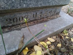 20180907 070713 매일(수송).jpg