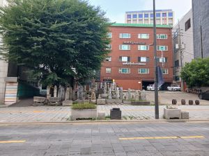 20240704 084626 통례원.jpg