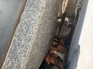 20260304 094306 천연정.jpg