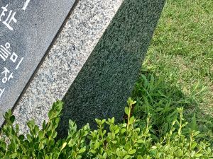 20240711 145459 장충단.jpg