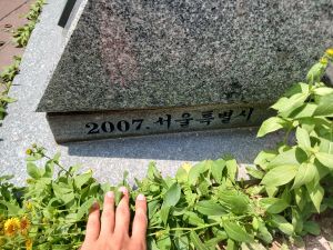 20240806 123920 조선어.jpg