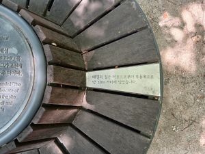 20240714 104146 베델(벤치).jpg