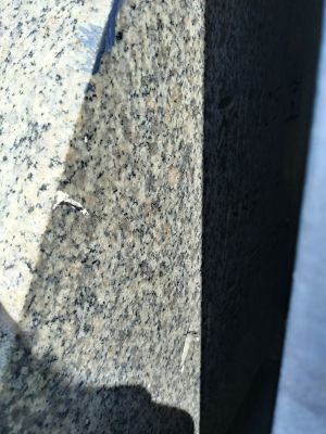 20180905 111653 HDR YMCA.jpg