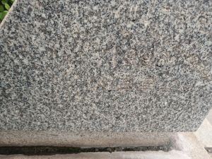 20240703 082724 중부관아.jpg