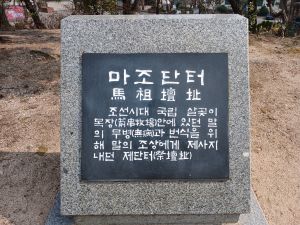 20260315 142234 마조단.jpg