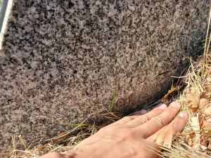 20260313 110313 수표.jpg