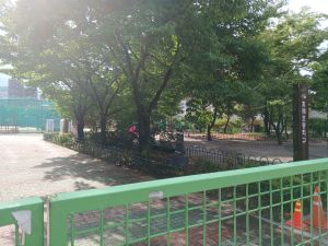 20240703 080709 어의동.jpg