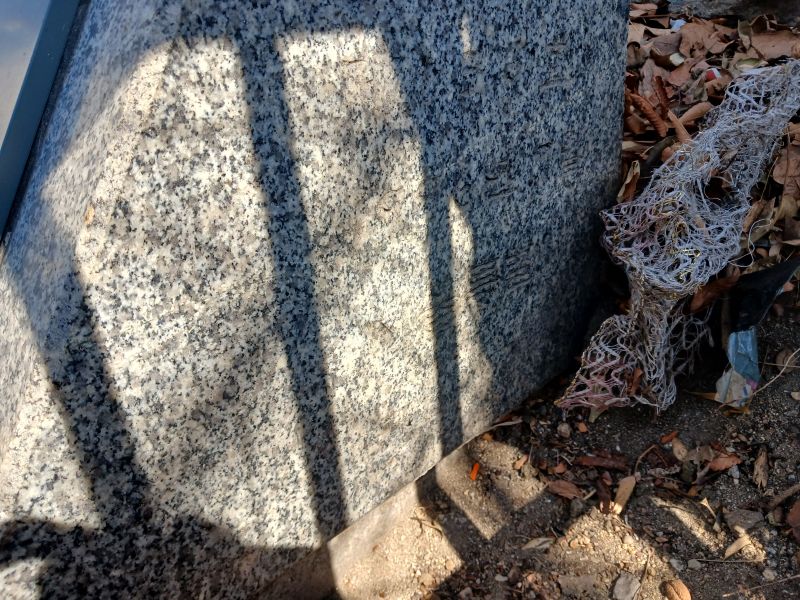 파일:20260313 112937 천일정.jpg