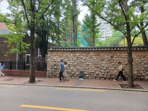 20240711 124457 보구여관 blur.jpg