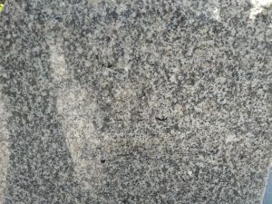 20180905 084801 중부관아.jpg