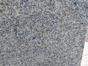 20240714 122547 남지.jpg